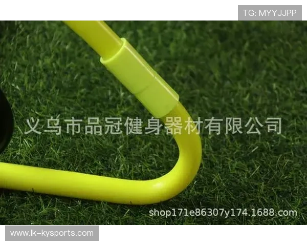 专家呼吁加强对青少年跨栏与跳跃项目的技术启蒙 专家呼吁加强对青少年跨栏与跳跃项目的技术启蒙